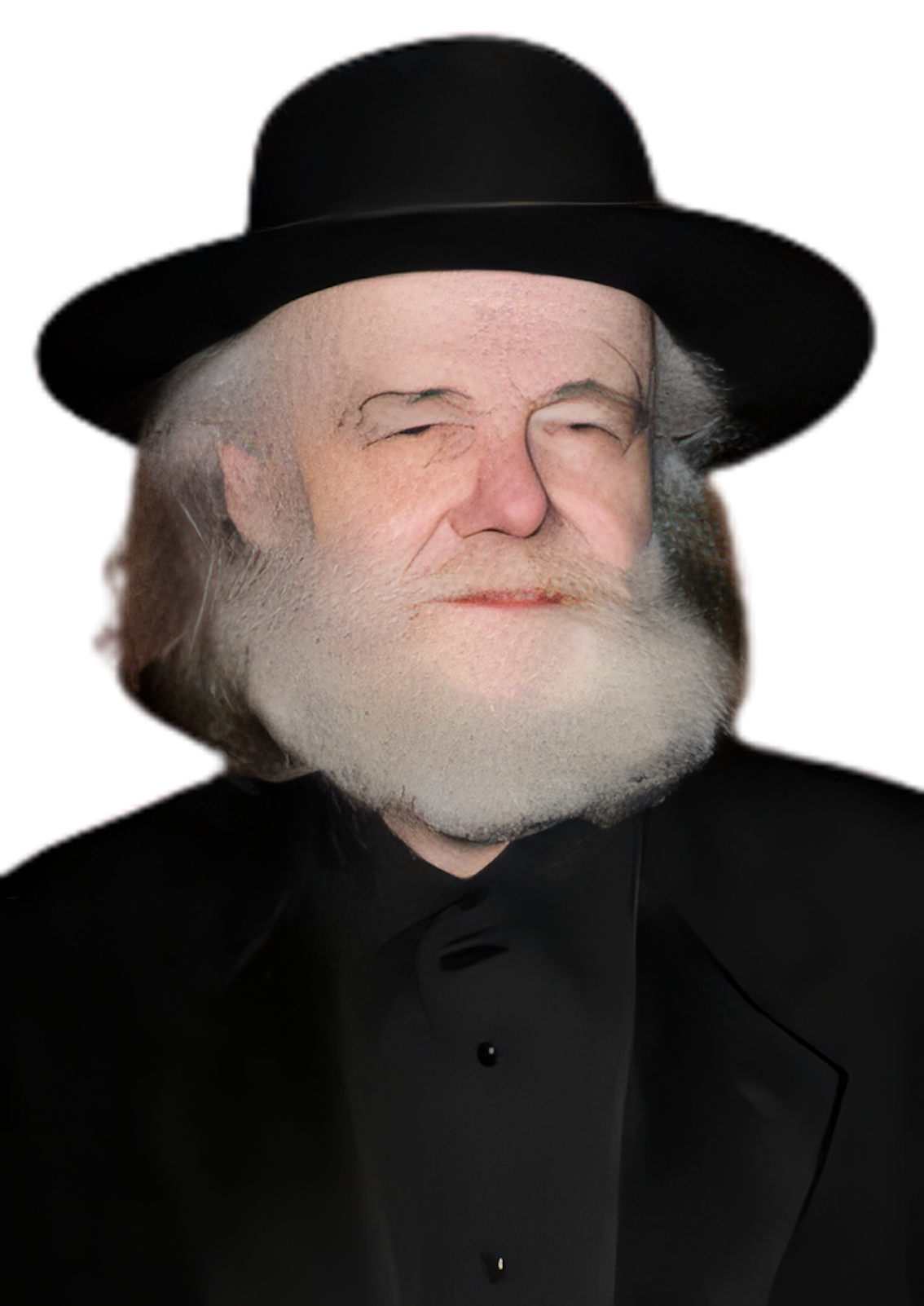 Garth Hudson PNG free download